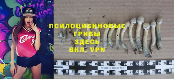 мяу мяу мука Алексеевка