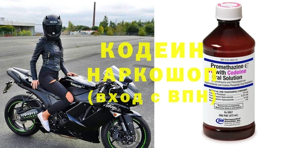 эйфоретик Алзамай