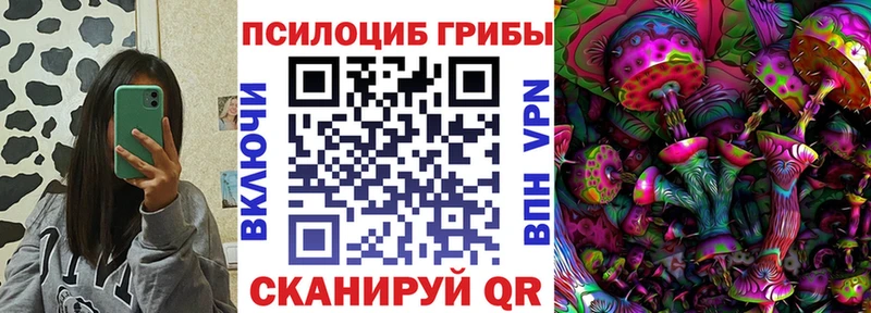 kraken   где купить   Пласт  Псилоцибиновые грибы Psilocybe 
